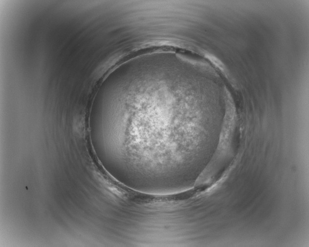 X0000068850977200605121405