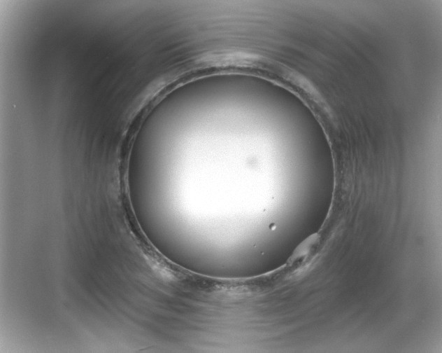 X0000068850978200605121405