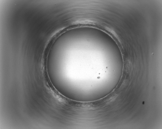 X0000068850979200605121405