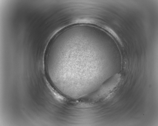 X0000068850980200605121405