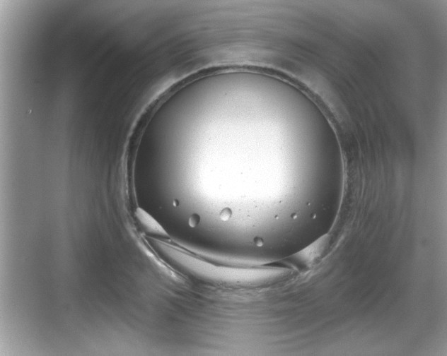 X0000068850982200605121405