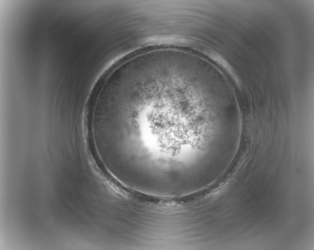 X0000068850983200605121405