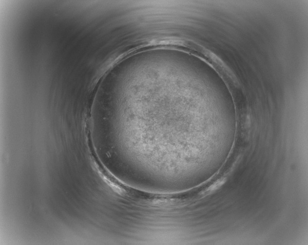 X0000068850985200605121405