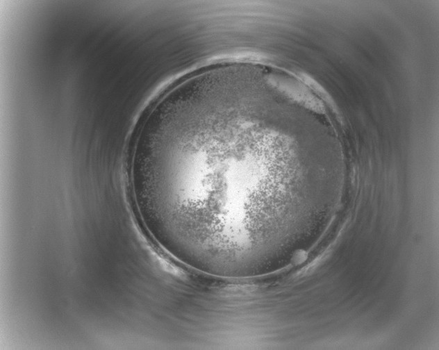 X0000068850989200605121405