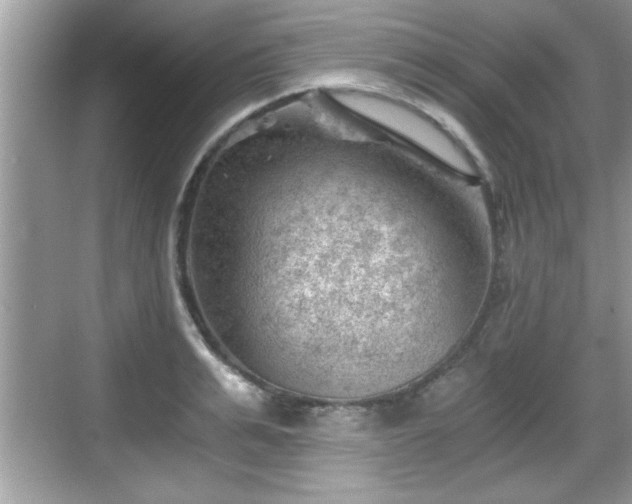 X0000068850991200605121404