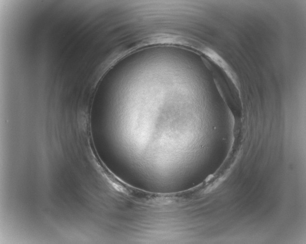 X0000068850993200605121404