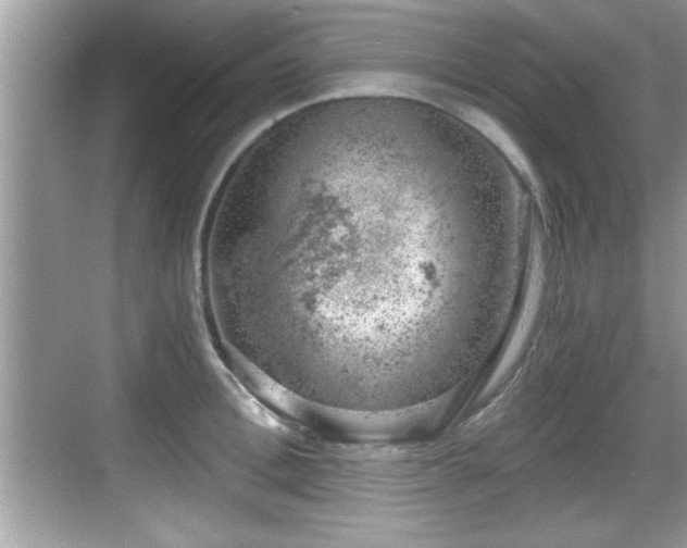 X0000068850996200605121404