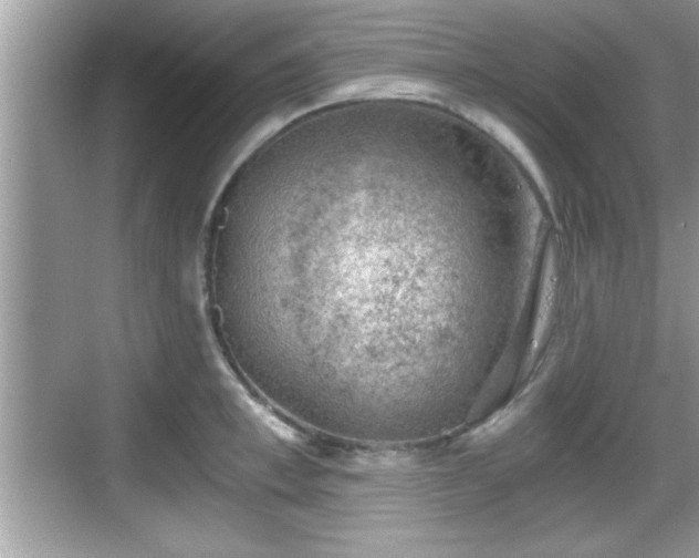 X0000068850997200605121404