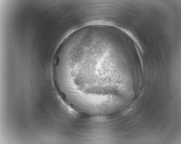 X0000068850998200605121404