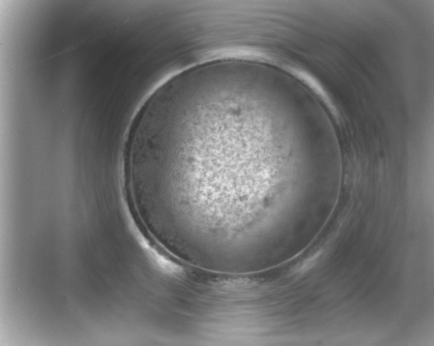 X0000068850999200605121404