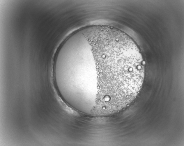 X0000068851000200605121404