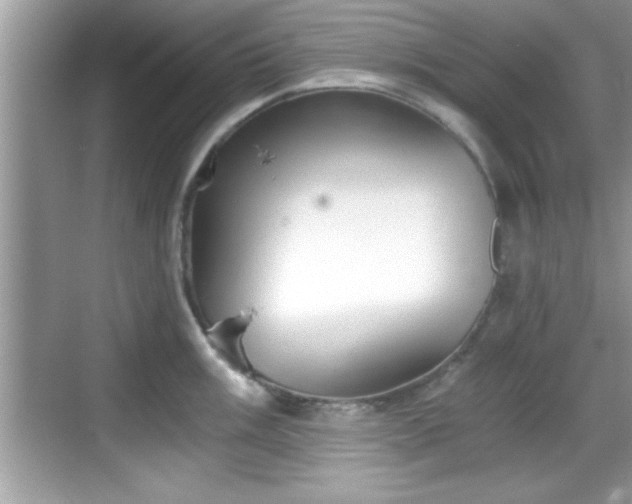 X0000068851003200605121404