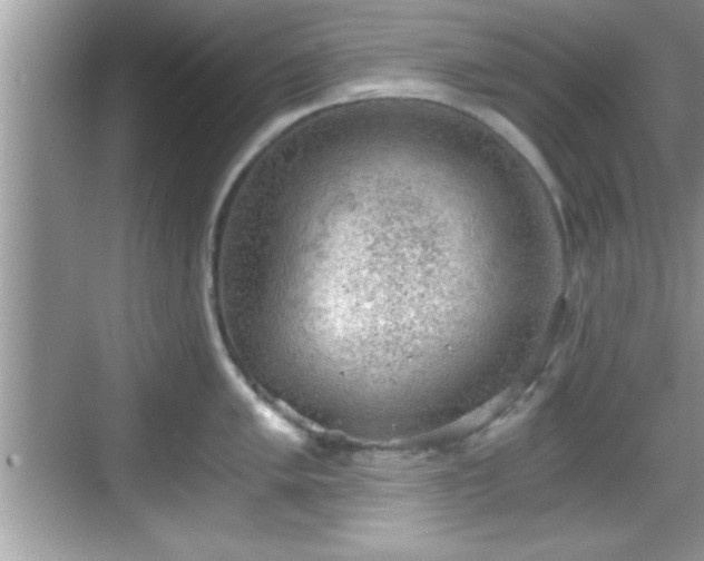 X0000068851005200605121404