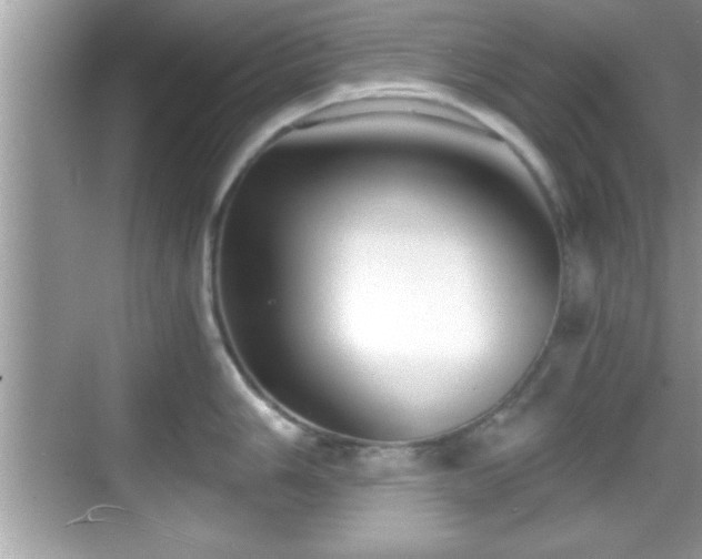 X0000068851006200605121404