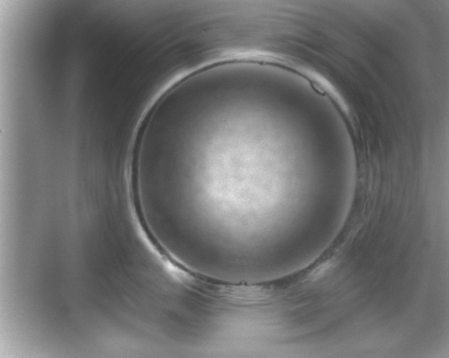 X0000068851007200605121404