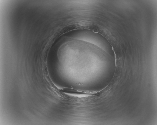 X0000068851009200605121403