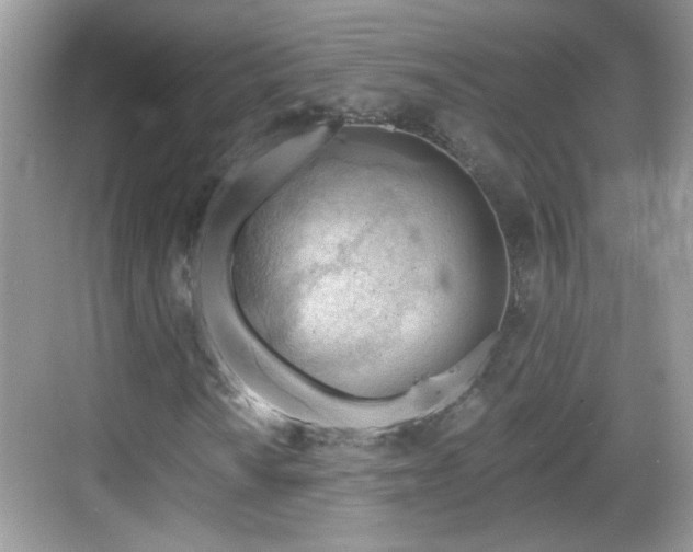 X0000068851010200605121403