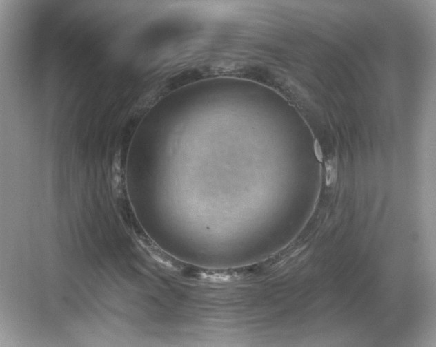 X0000068851011200605121403