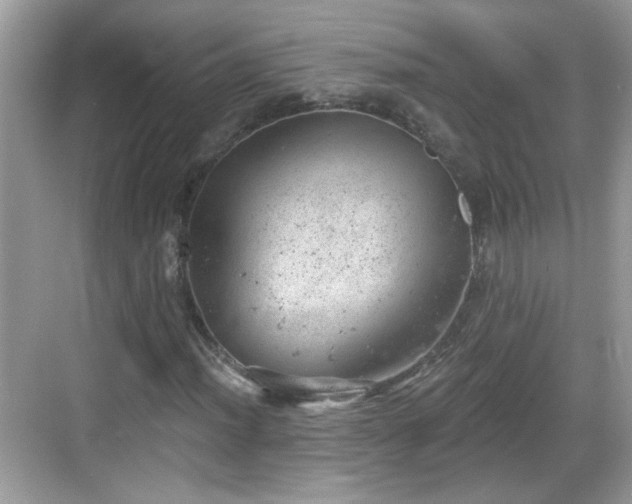 X0000068851012200605121403