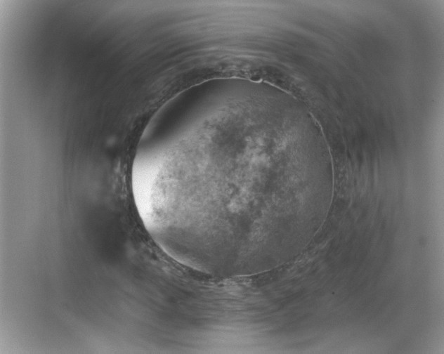 X0000068851013200605121403