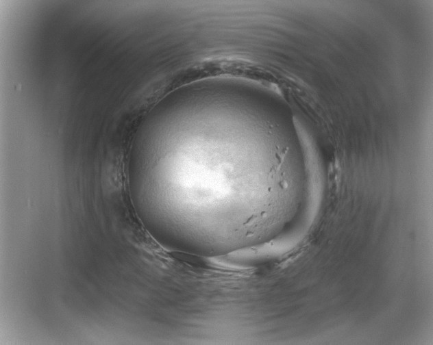 X0000068851014200605121403