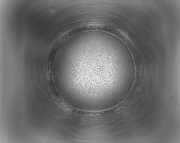 X0000068851015200605121404