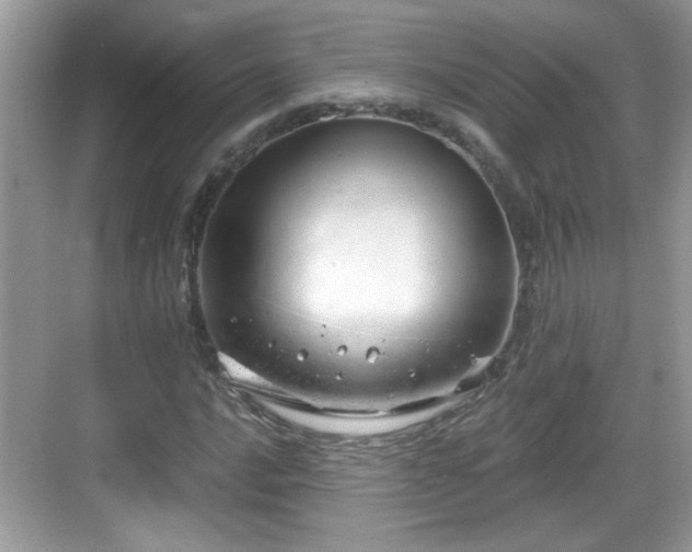 X0000068851016200605121404