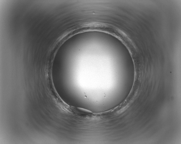 X0000068851017200605121404