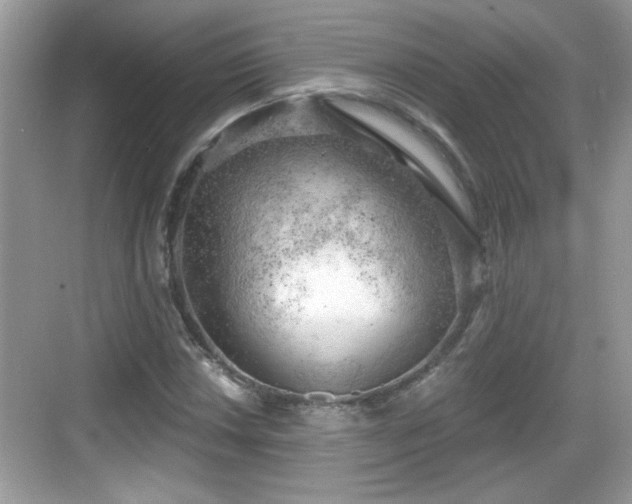 X0000068851018200605121404