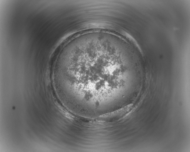 X0000068851019200605121404