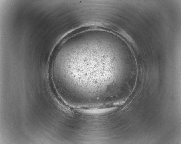 X0000068851020200605121404