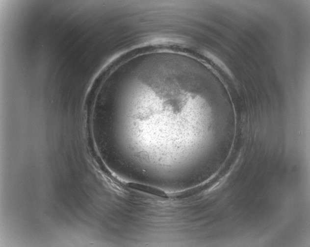 X0000068851021200605121404