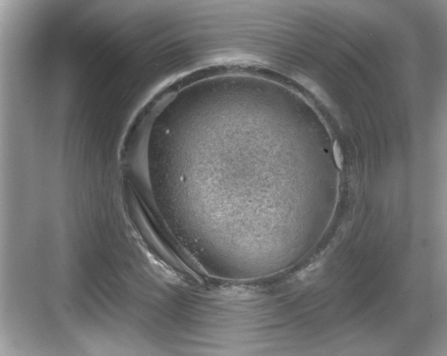 X0000068851022200605121404