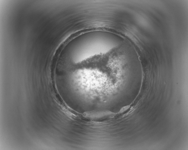 X0000068851023200605121404