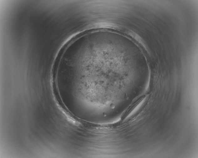 X0000068851024200605121404