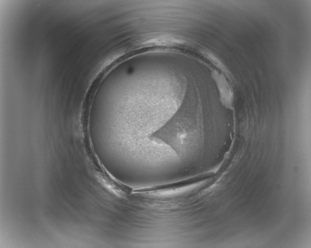 X0000068851026200605121404