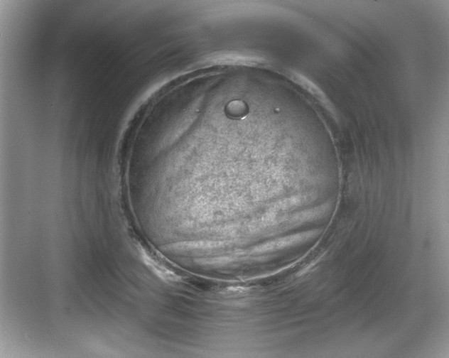 X0000068851027200605121404