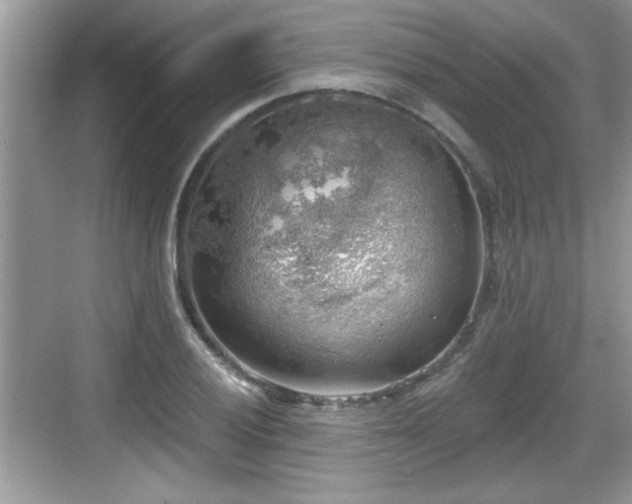 X0000068851028200605121404