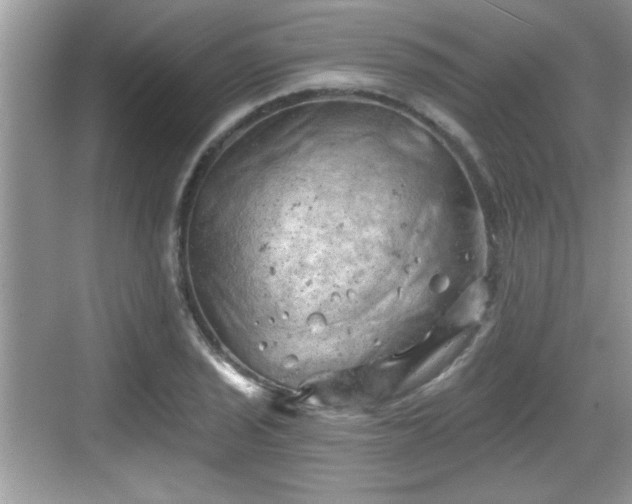 X0000068851029200605121404