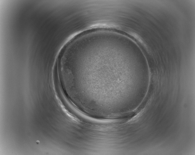 X0000068851030200605121404