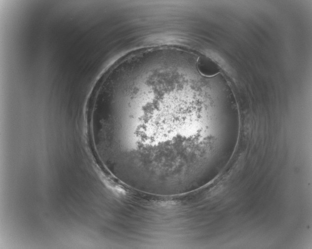 X0000068851031200605121404