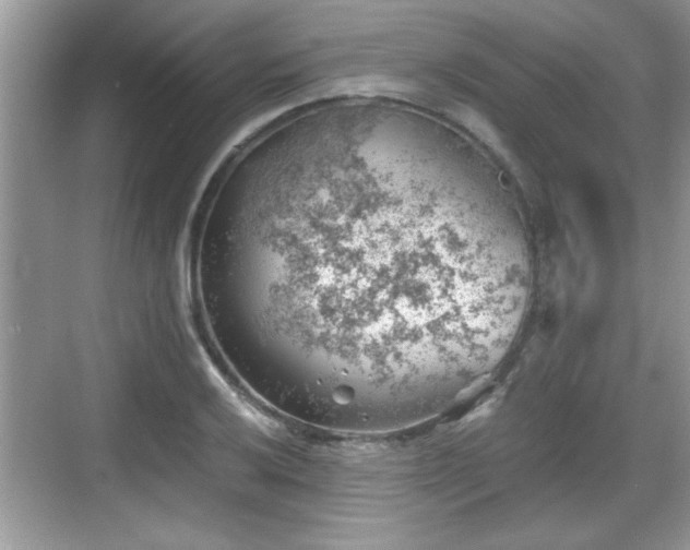 X0000068851032200605121404