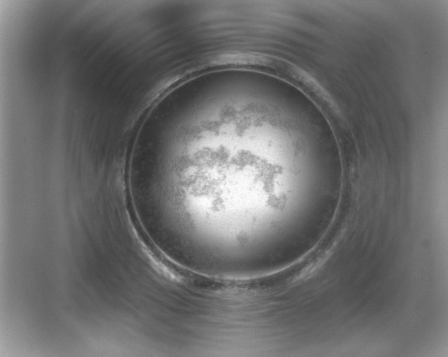 X0000068851033200605121404