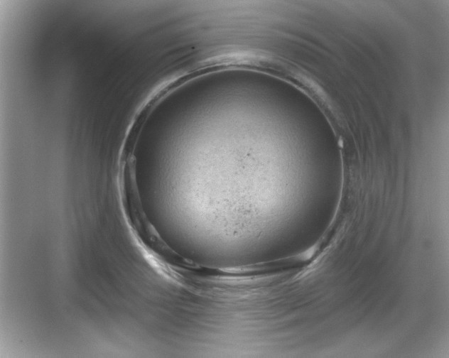 X0000068851034200605121404