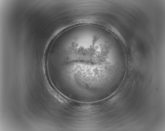 X0000068851035200605121404