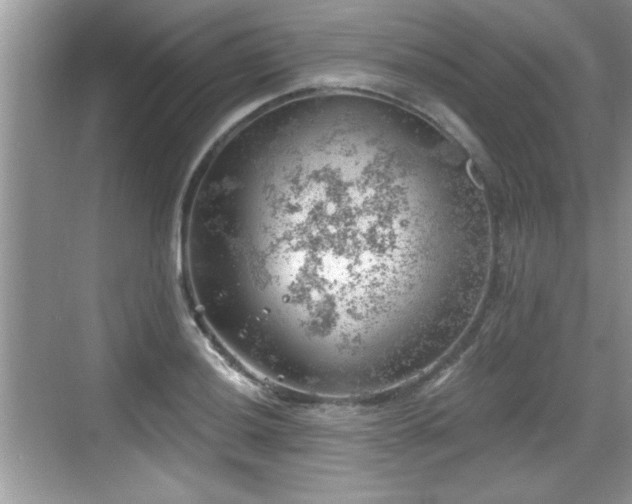 X0000068851036200605121404