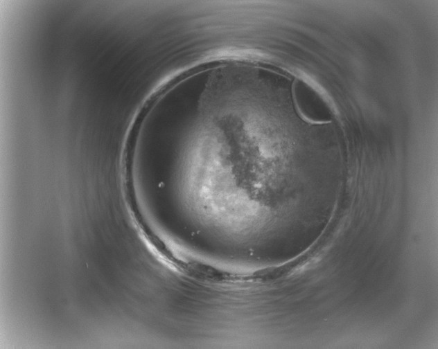 X0000068851037200605121404