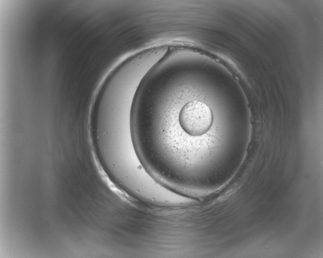 X0000068851038200605121404