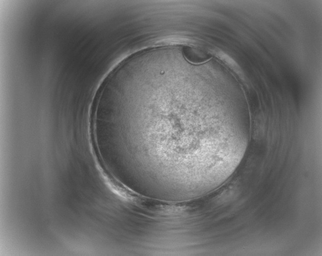 X0000068851039200605121404