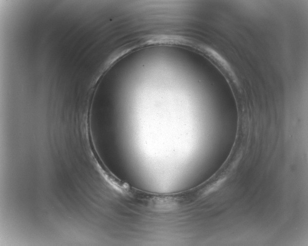 X0000068851041200605121404